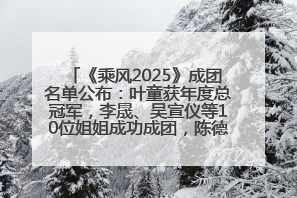 《乘风2025》成团名单公布：叶童获年度总冠军，李晟、吴宣仪等10位姐姐成功成团，陈德容获年度高光人物