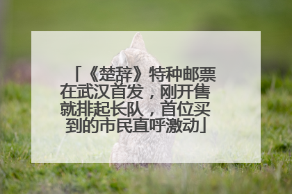 《楚辞》特种邮票在武汉首发，刚开售就排起长队，首位买到的市民直呼激动