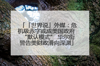 「世界说」外媒：危机级赤字或成美国政府“默认模式” 华尔街警告美财政滑向深渊