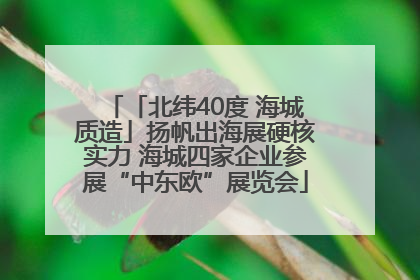 「北纬40度 海城质造」扬帆出海展硬核实力 海城四家企业参展“中东欧”展览会
