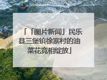 「图片新闻」民乐县三堡镇徐寨村的油菜花竞相绽放