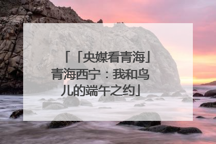 「央媒看青海」青海西宁：我和鸟儿的端午之约