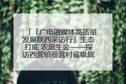 「广电融媒体高质量发展陕西采访行」生态打底 农旅生金——探访西营镇蔓营村省级旅游示范村的振兴密码
