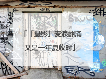 「摄影」麦浪翻涌 又是一年夏收时