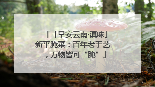 「早安云南·滇味」新平腌菜：百年老手艺，万物皆可“腌”