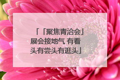 「聚焦青洽会」展会接地气 有看头有尝头有逛头