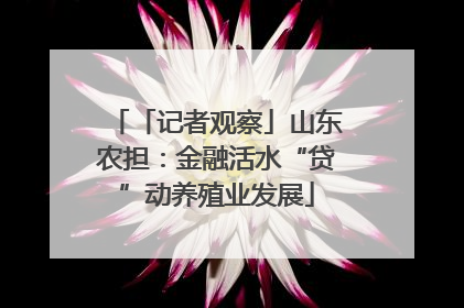 「记者观察」山东农担：金融活水“贷”动养殖业发展