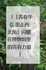 「青春华章·重走西北角」闪耀在博物馆里的青春力量