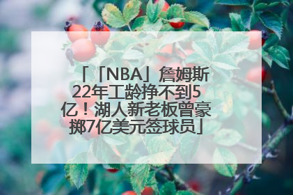 「NBA」詹姆斯22年工龄挣不到5亿！湖人新老板曾豪掷7亿美元签球员