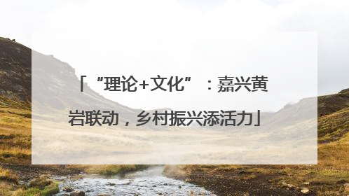 “理论+文化”：嘉兴黄岩联动，乡村振兴添活力