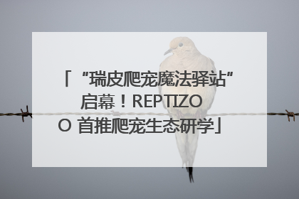 “瑞皮爬宠魔法驿站” 启幕！REPTIZOO 首推爬宠生态研学