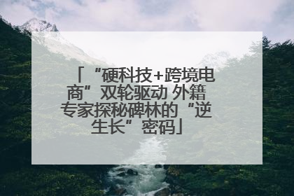 “硬科技+跨境电商”双轮驱动 外籍专家探秘碑林的“逆生长”密码