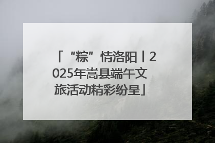 “粽”情洛阳丨2025年嵩县端午文旅活动精彩纷呈