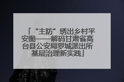 “主防”绣出乡村平安图——解码甘肃省高台县公安局罗城派出所基层治理新实践