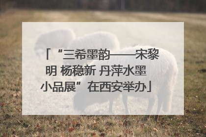 “三希墨韵——宋黎明 杨稳新 丹萍水墨小品展”在西安举办