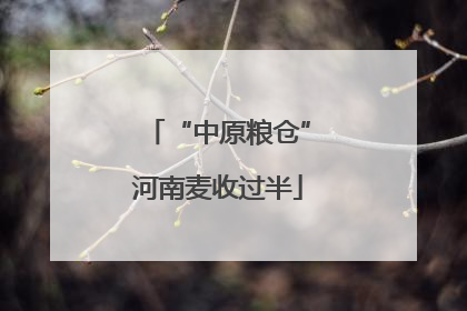 “中原粮仓”河南麦收过半