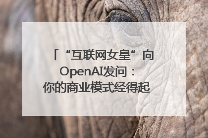 “互联网女皇”向OpenAI发问：你的商业模式经得起价格战考验么？