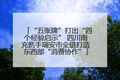 “五张牌”打出“四个经验启示” 四川南充携手瑞安市全链打造东西部“消费协作”