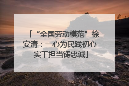 “全国劳动模范”徐安清：一心为民践初心 实干担当铸忠诚