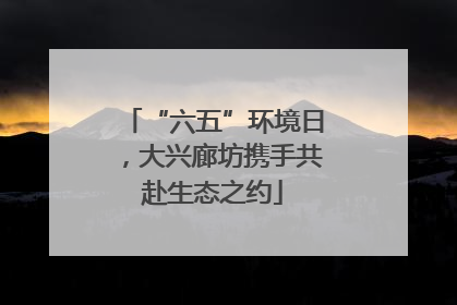 “六五”环境日，大兴廊坊携手共赴生态之约