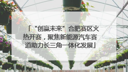 “创赢未来”合肥赛区火热开赛，聚焦新能源汽车赛道助力长三角一体化发展