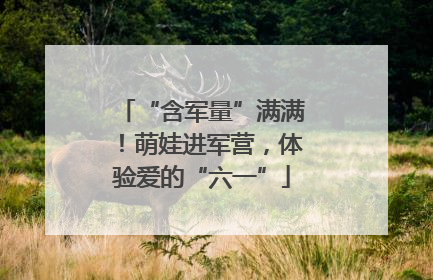 “含军量”满满！萌娃进军营，体验爱的“六一”