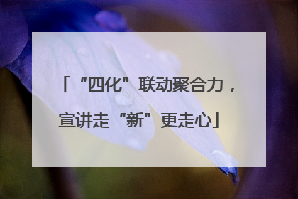 “四化”联动聚合力，宣讲走“新”更走心