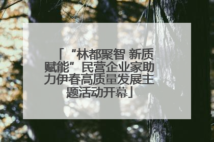 “林都聚智 新质赋能”民营企业家助力伊春高质量发展主题活动开幕