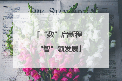 “数”启新程 “智”领发展