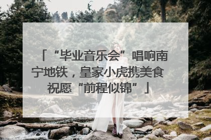 “毕业音乐会”唱响南宁地铁，皇家小虎携美食祝愿“前程似锦”
