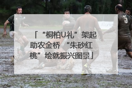 “桐柏U礼”架起助农金桥 “朱砂红桃”绘就振兴图景