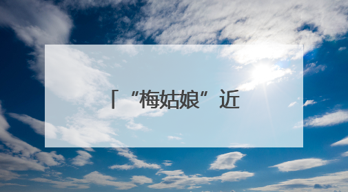 “梅姑娘”近了 今年高考期间杭州多雨水