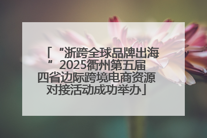 “浙跨全球品牌出海”2025衢州第五届四省边际跨境电商资源对接活动成功举办