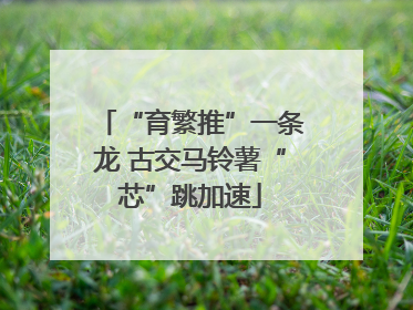 “育繁推”一条龙 古交马铃薯“芯”跳加速