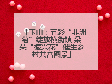 玉山：五彩“非洲菊”绽放横街镇 朵朵“振兴花”催生乡村共富图景
