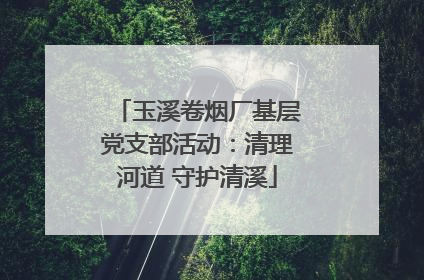 玉溪卷烟厂基层党支部活动：清理河道 守护清溪