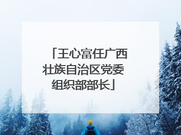 王心富任广西壮族自治区党委组织部部长