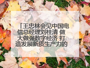 王忠林会见中国电信总经理刘桂清 做大做强数字经济 打造发展新质生产力的强劲引擎