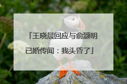 王晓晨回应与俞灏明已婚传闻：我头昏了
