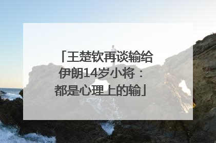 王楚钦再谈输给伊朗14岁小将：都是心理上的输