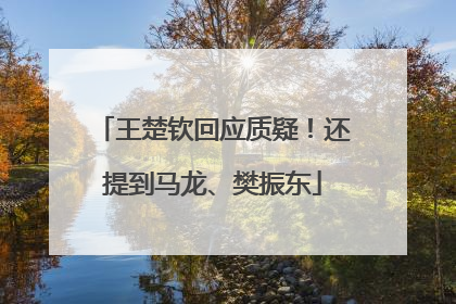 王楚钦回应质疑！还提到马龙、樊振东