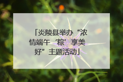 炎陵县举办“浓情端午‘粽’享美好”主题活动