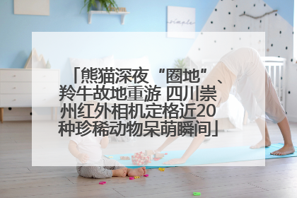 熊猫深夜“圈地”、羚牛故地重游 四川崇州红外相机定格近20种珍稀动物呆萌瞬间