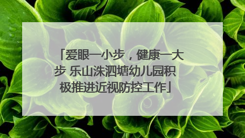 爱眼一小步，健康一大步 乐山洙泗塘幼儿园积极推进近视防控工作