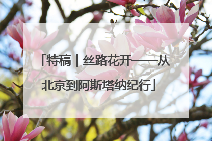 特稿｜丝路花开——从北京到阿斯塔纳纪行