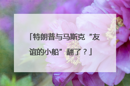 特朗普与马斯克“友谊的小船”翻了？