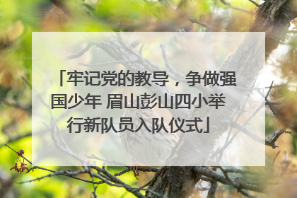 牢记党的教导，争做强国少年 眉山彭山四小举行新队员入队仪式
