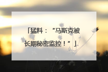猛料：“马斯克被长期秘密监控！”