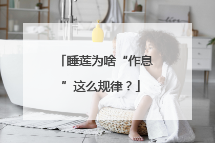 睡莲为啥“作息”这么规律？