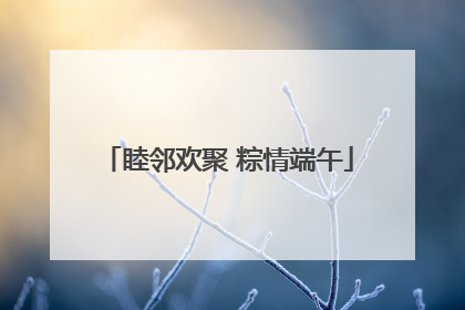 睦邻欢聚 粽情端午
